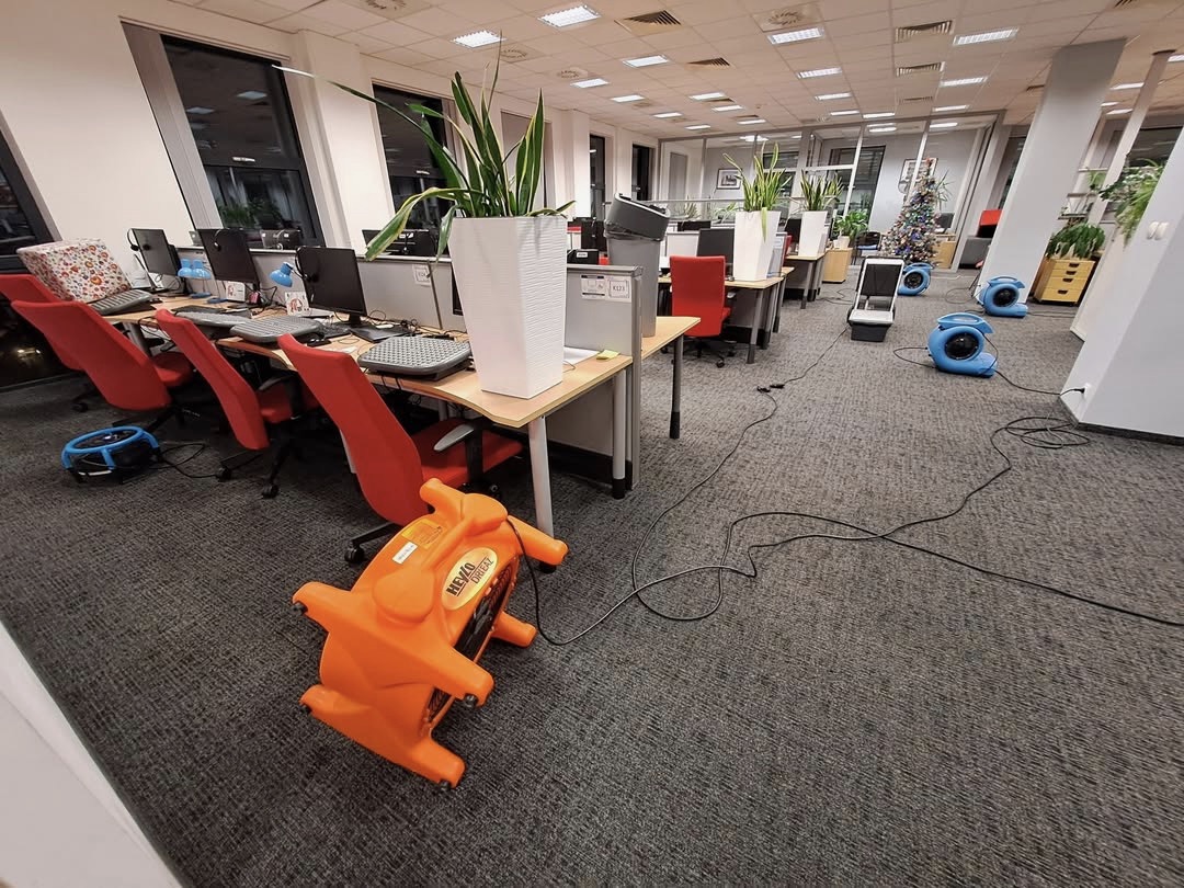 ef374815-d2d2-415c-a40e-9d17aaf3211f Duży